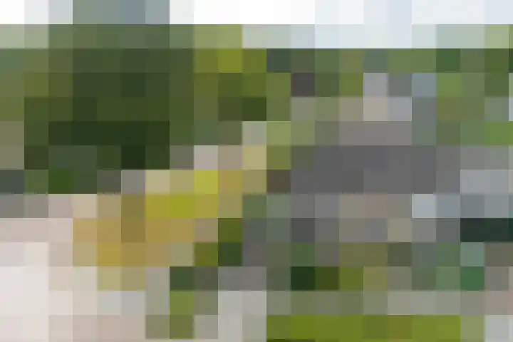 De Patrijs 13 Vriezenveen thumbnail 4