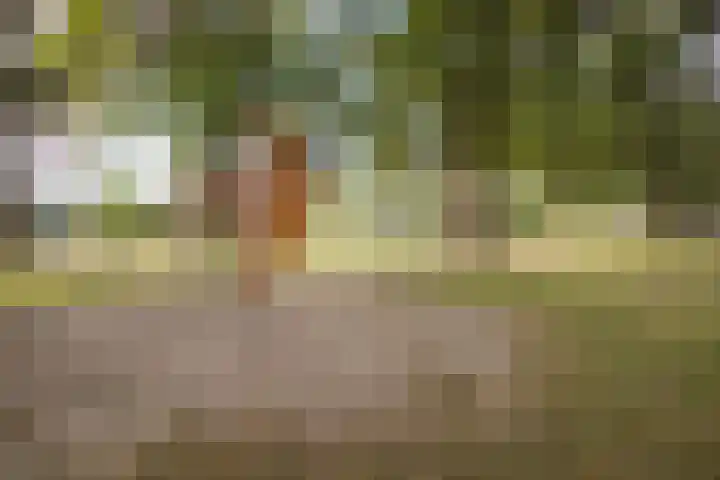De Patrijs 13 Vriezenveen thumbnail 40