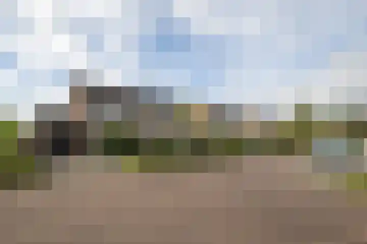 De Patrijs 13 Vriezenveen thumbnail 41