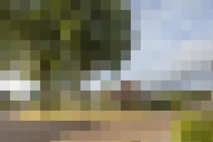 De Patrijs 13 Vriezenveen thumbnail 42