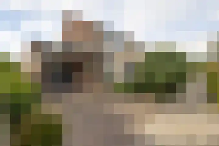 De Patrijs 13 Vriezenveen thumbnail 5