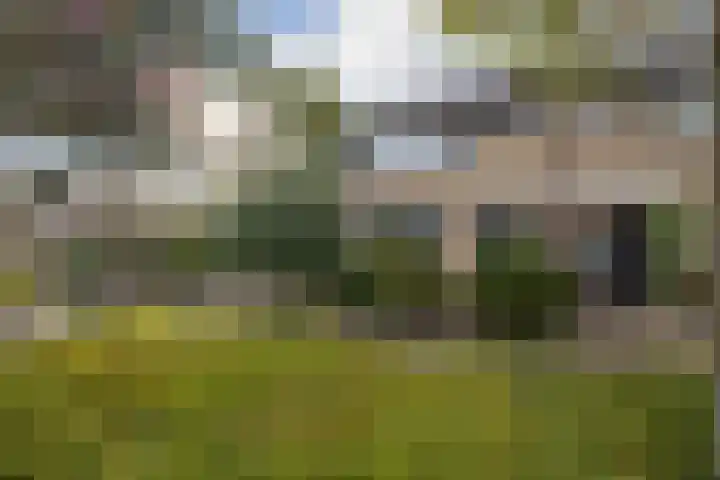 De Patrijs 13 Vriezenveen thumbnail 6