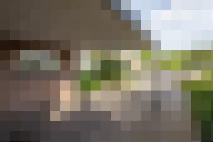 De Patrijs 13 Vriezenveen thumbnail 7