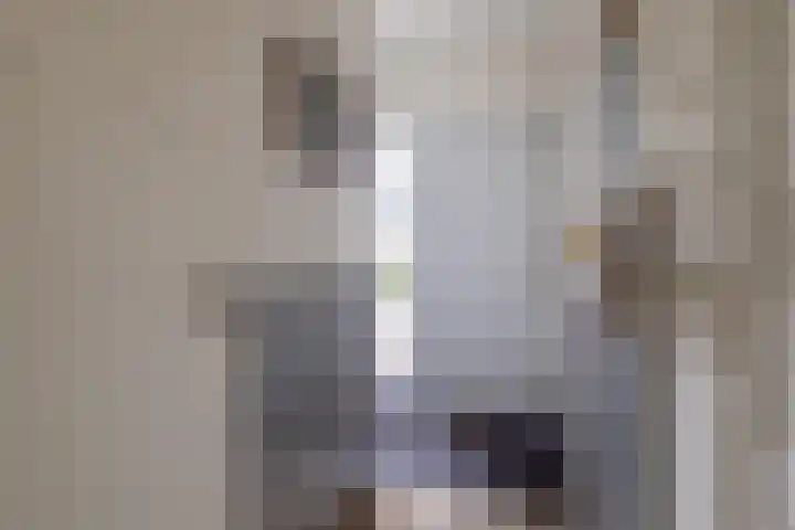 De Patrijs 13 Vriezenveen thumbnail 8