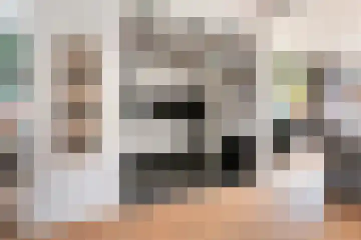 De Patrijs 17 Vriezenveen thumbnail 13
