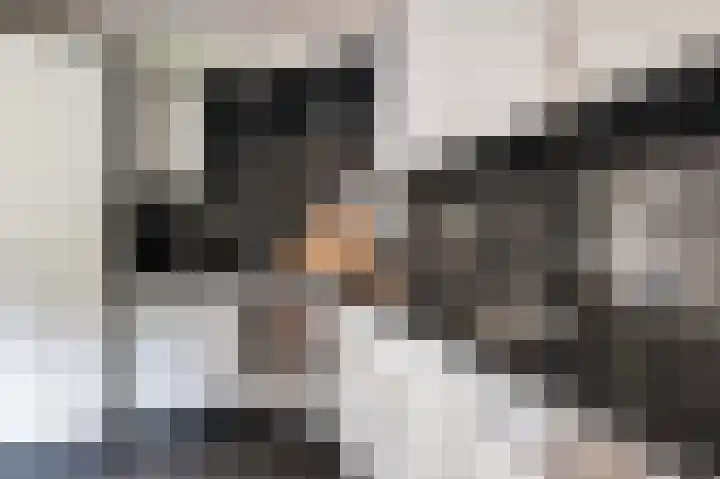 De Patrijs 17 Vriezenveen thumbnail 15