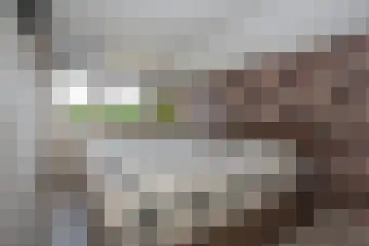 De Patrijs 17 Vriezenveen thumbnail 20