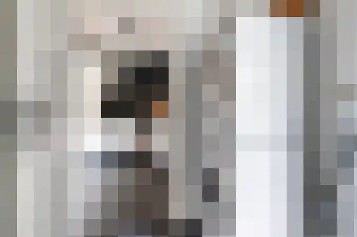 De Patrijs 17 Vriezenveen thumbnail 20