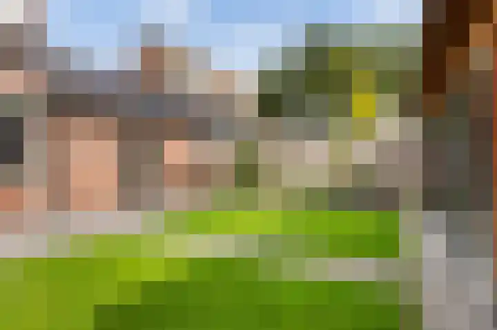 De Patrijs 17 Vriezenveen thumbnail 22