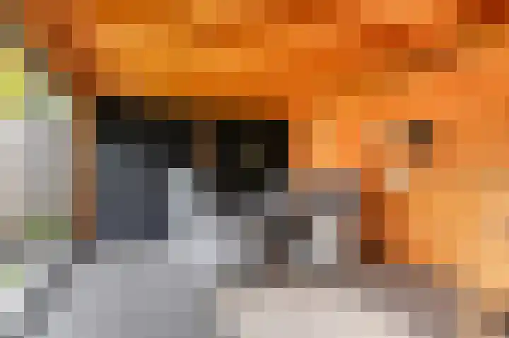 De Patrijs 17 Vriezenveen thumbnail 25