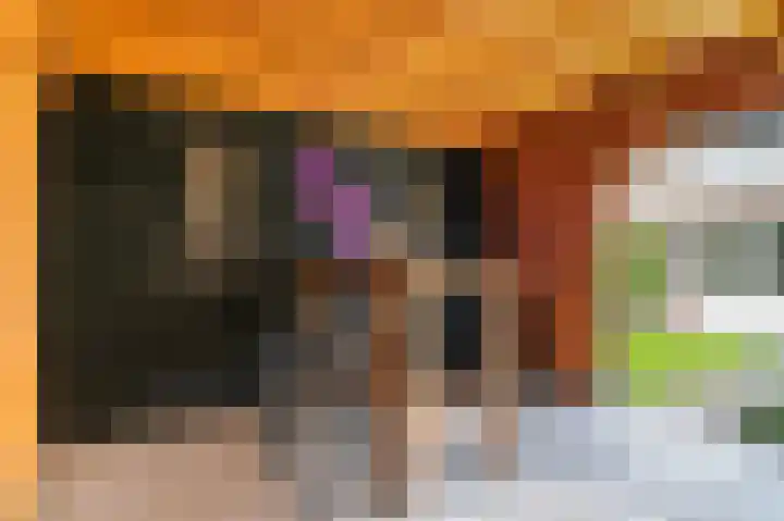 De Patrijs 17 Vriezenveen thumbnail 26