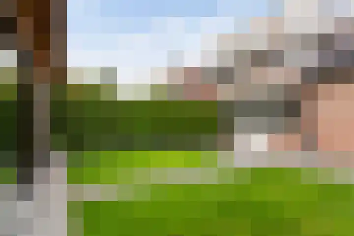 De Patrijs 17 Vriezenveen thumbnail 27