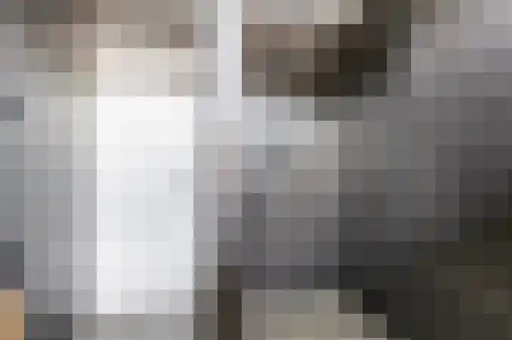 De Patrijs 17 Vriezenveen thumbnail 29