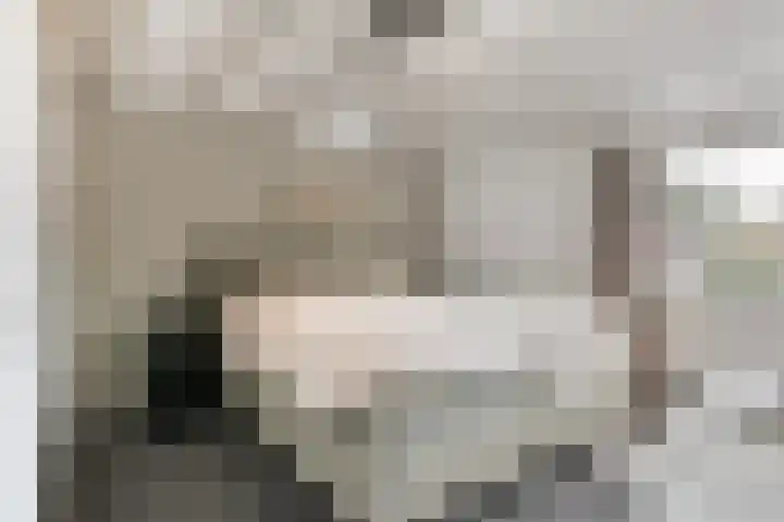 De Patrijs 17 Vriezenveen thumbnail 33