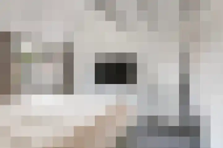 De Patrijs 17 Vriezenveen thumbnail 34