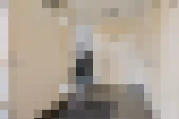 De Patrijs 17 Vriezenveen thumbnail 37