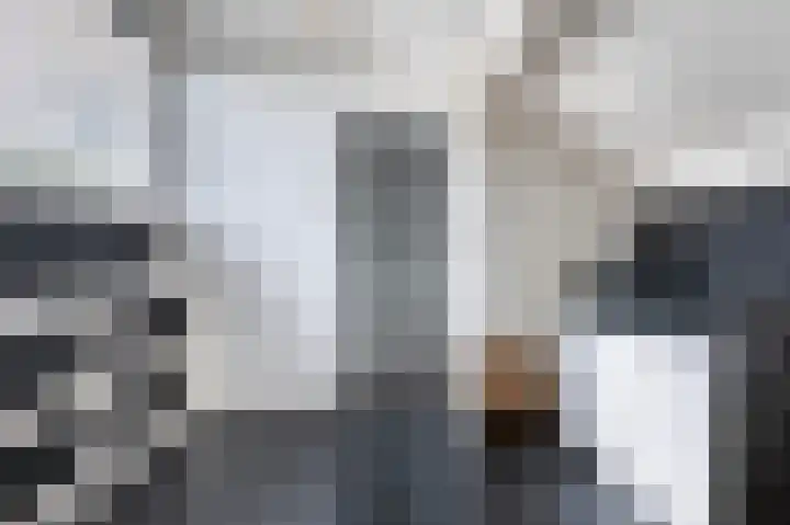 De Patrijs 17 Vriezenveen thumbnail 38
