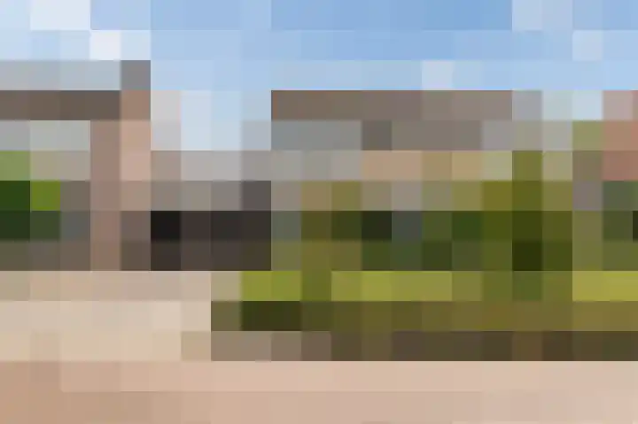 De Patrijs 17 Vriezenveen thumbnail 4