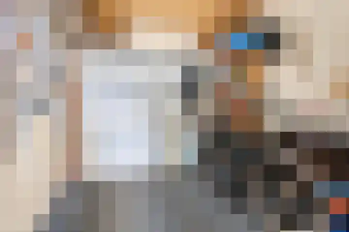 De Patrijs 17 Vriezenveen thumbnail 42