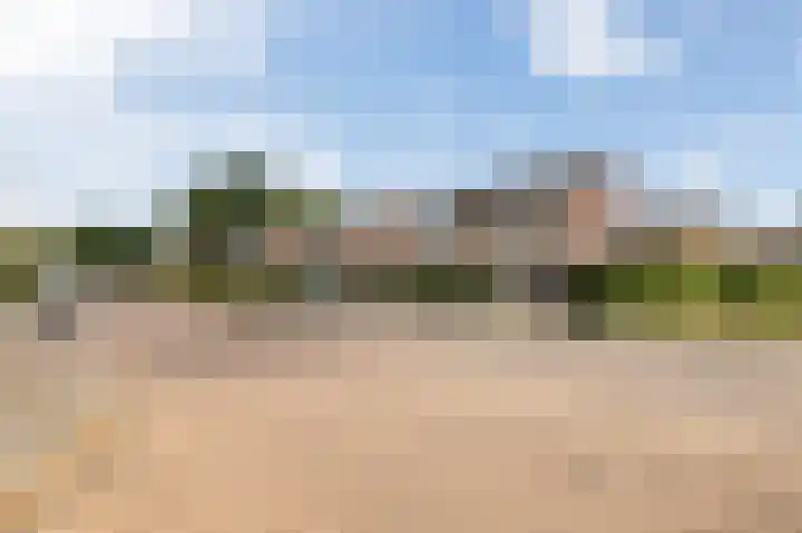 De Patrijs 17 Vriezenveen thumbnail 43