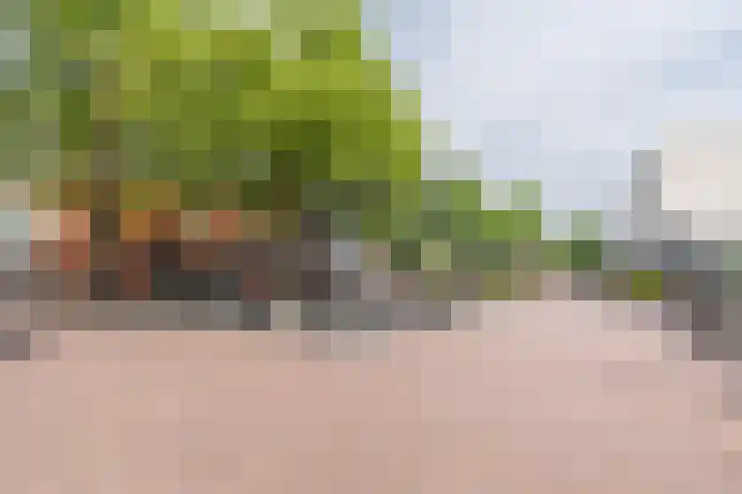 De Patrijs 17 Vriezenveen thumbnail 44