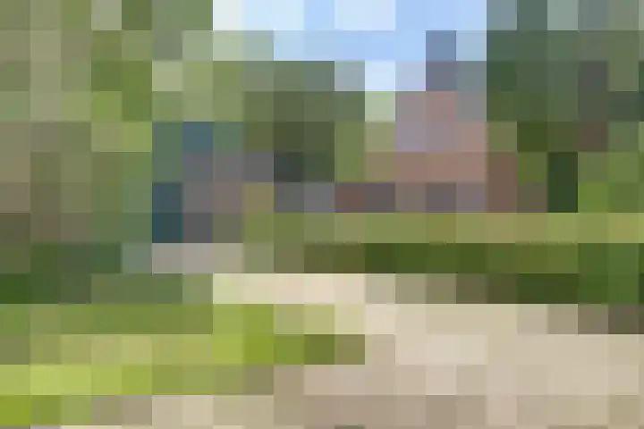 De Patrijs 17 Vriezenveen thumbnail 46