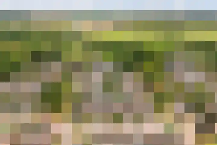De Patrijs 17 Vriezenveen thumbnail 46