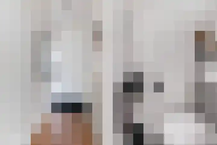De Patrijs 17 Vriezenveen thumbnail 6
