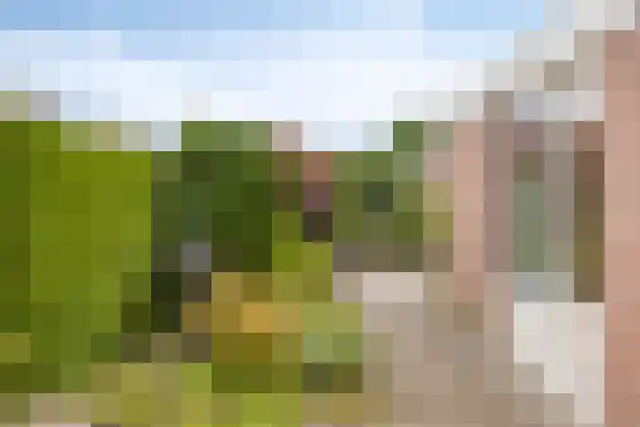 De Patrijs 19 Vriezenveen thumbnail 23