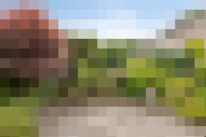 De Patrijs 19 Vriezenveen thumbnail 24