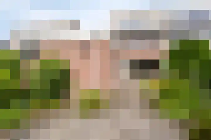 De Patrijs 19 Vriezenveen thumbnail 25