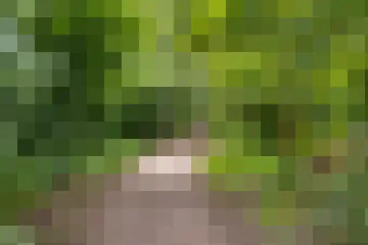 De Patrijs 19 Vriezenveen thumbnail 26
