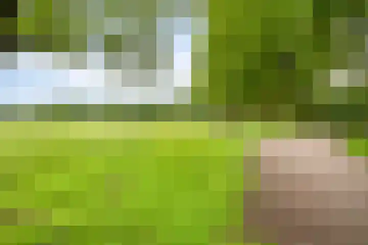 De Patrijs 19 Vriezenveen thumbnail 27