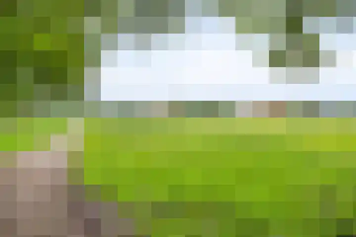 De Patrijs 19 Vriezenveen thumbnail 28