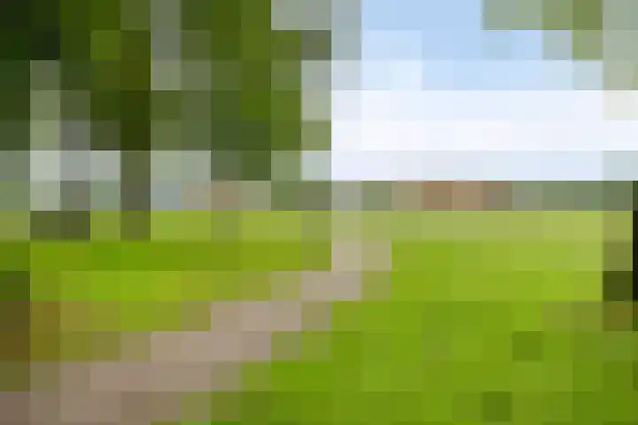 De Patrijs 19 Vriezenveen thumbnail 29