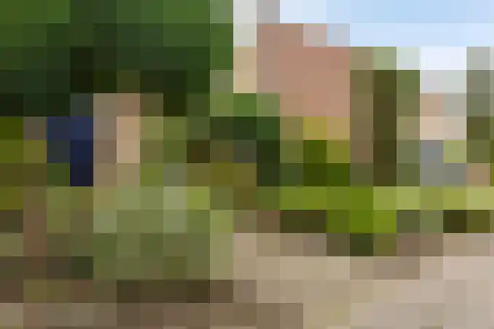 De Patrijs 19 Vriezenveen thumbnail 31