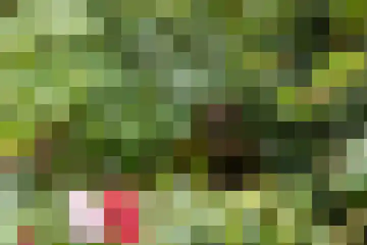 De Patrijs 19 Vriezenveen thumbnail 33