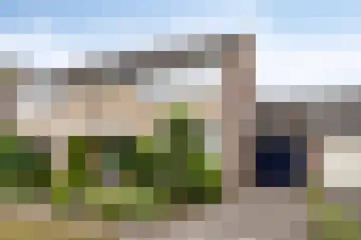 De Patrijs 19 Vriezenveen thumbnail 37