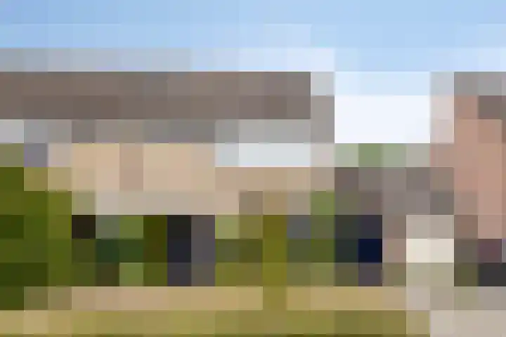 De Patrijs 19 Vriezenveen thumbnail 5