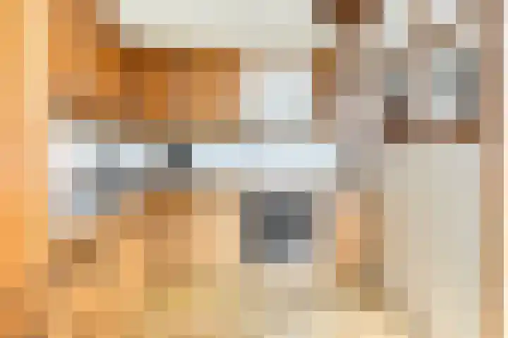 De Patrijs 19 Vriezenveen thumbnail 7