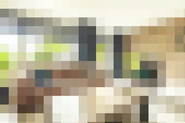 De Patrijs 21 Almelo thumbnail 10