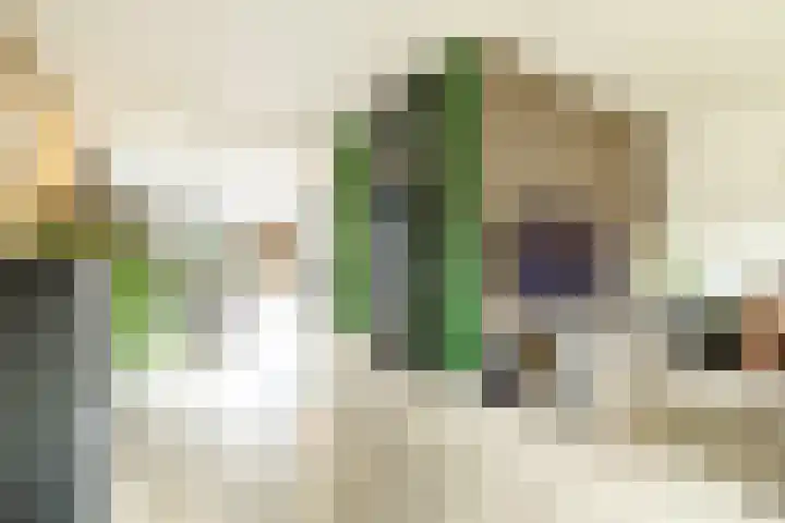 De Patrijs 21 Almelo thumbnail 13