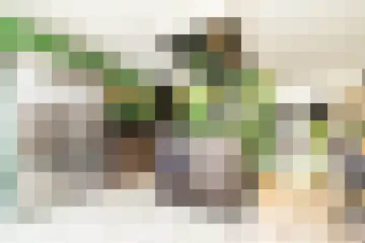 De Patrijs 21 Almelo thumbnail 17