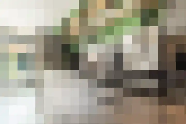 De Patrijs 21 Almelo thumbnail 19
