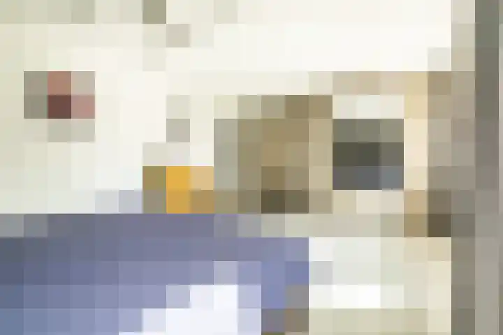 De Patrijs 21 Almelo thumbnail 24