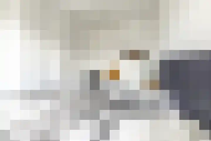 De Patrijs 21 Almelo thumbnail 28