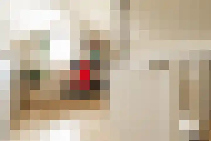 De Patrijs 21 Almelo thumbnail 31
