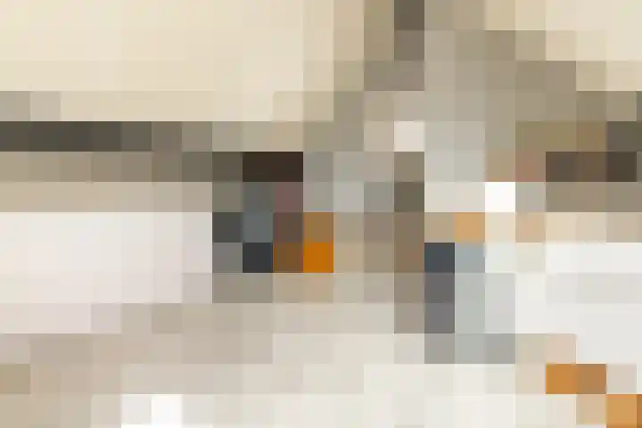 De Patrijs 21 Almelo thumbnail 32