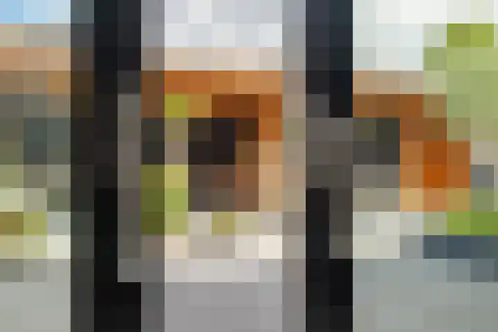 De Patrijs 21 Almelo thumbnail 34