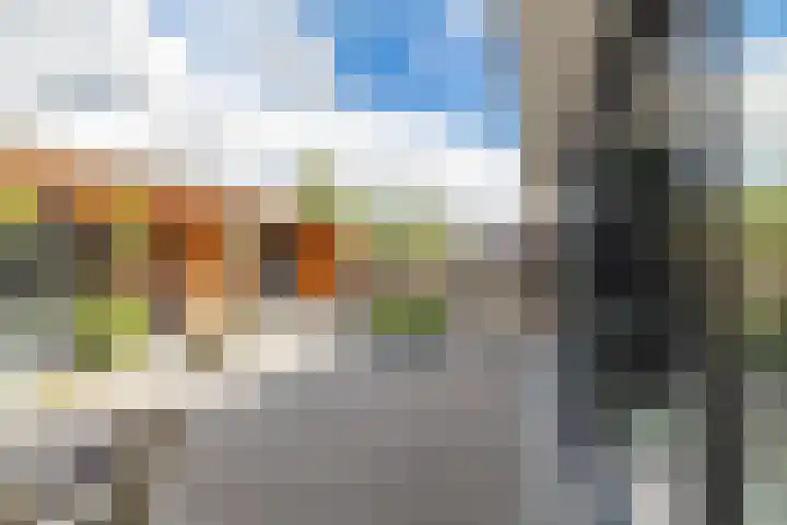 De Patrijs 21 Almelo thumbnail 35